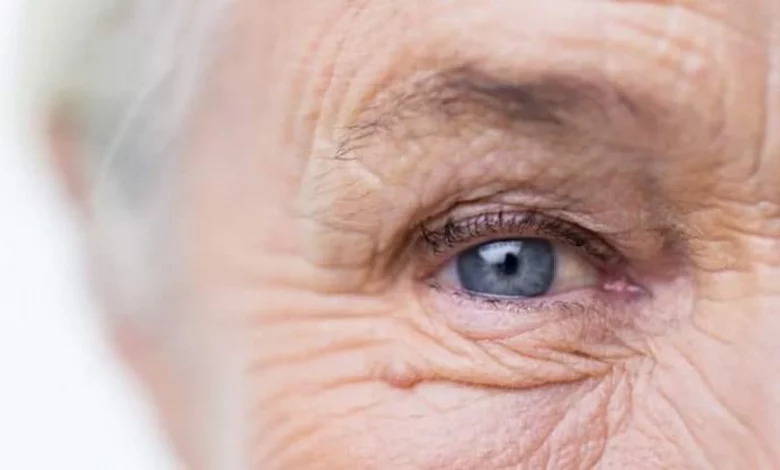 A19e74205558e207f709c07ecc62c71d Preview Extra Extra Large