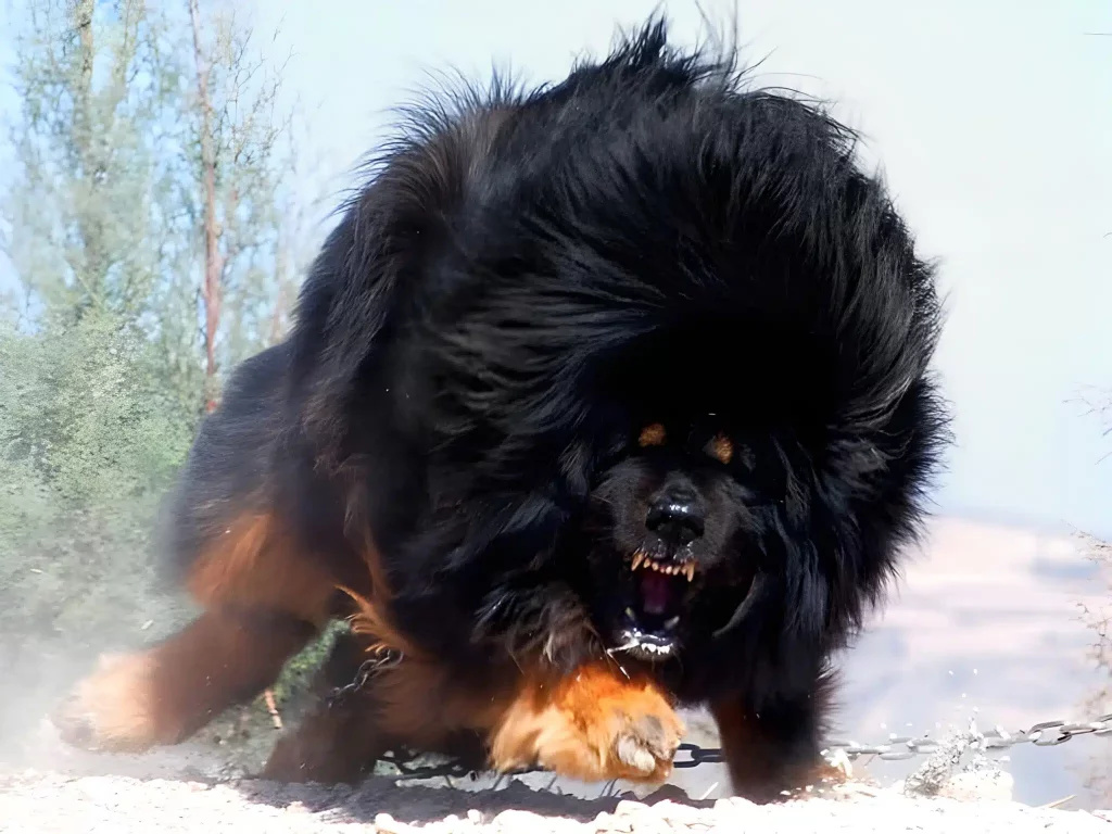 De205ff0 5564 499a Af70 20fde5d2a9d8 Scaled 1