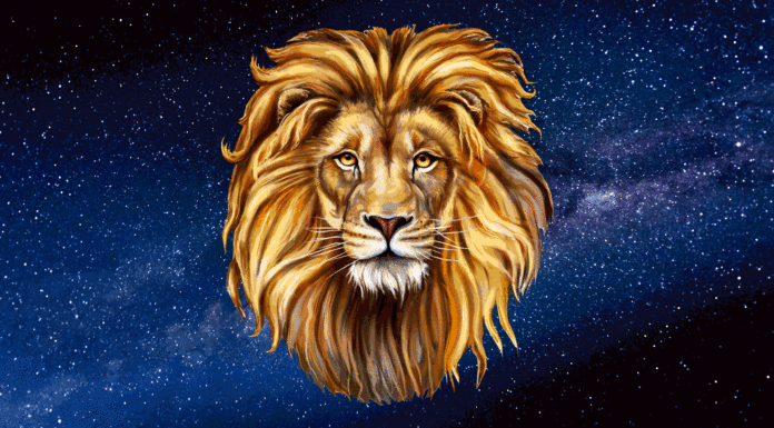 Lev 2 696x385 2