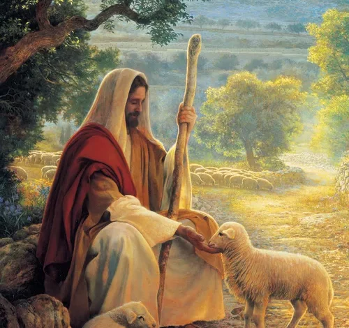 Lost No More Jesus Shepherd