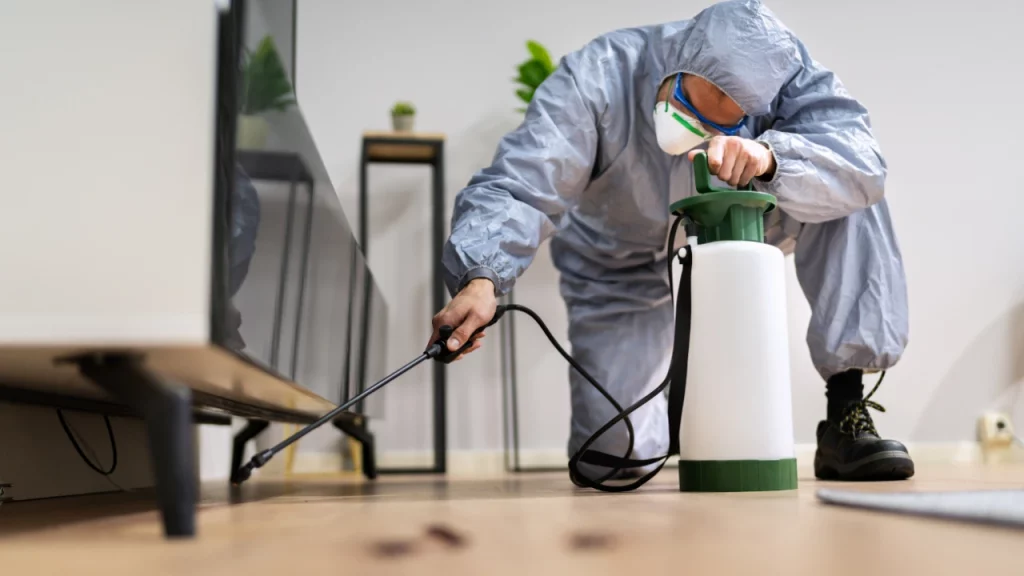 Why Regular Pest Control Is Essential For A Healthy Home