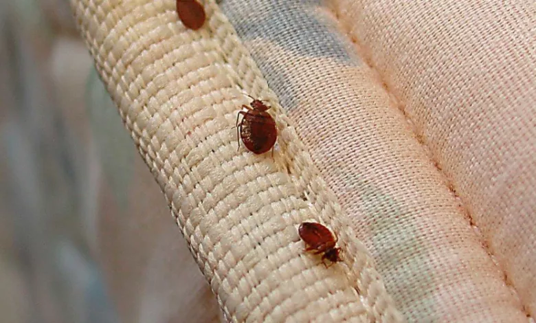 02bdfcb8749d6f7b1e6373cd5b62dfcf