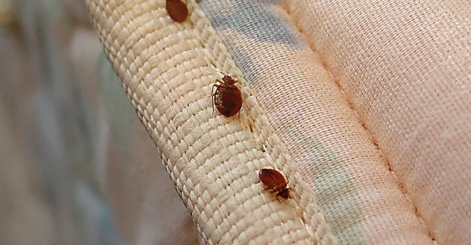 02bdfcb8749d6f7b1e6373cd5b62dfcf