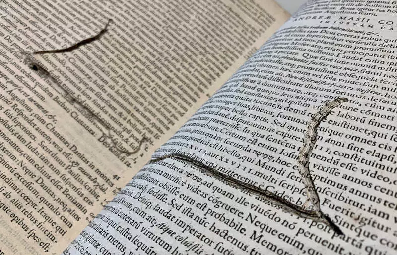 58096598023748934934982375