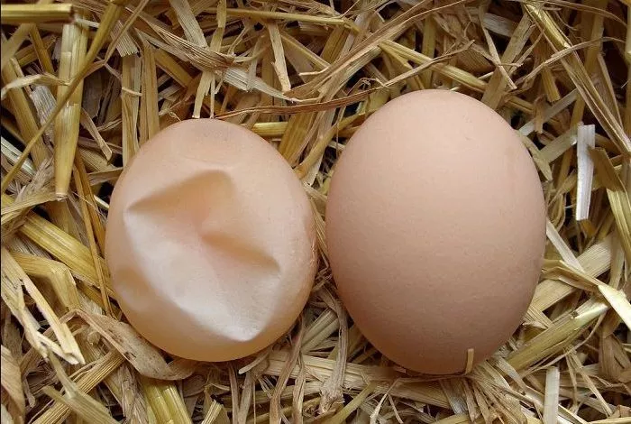 7cxq9ysdis0alidh4crtmyiksxqlaucsmzlh9hh3