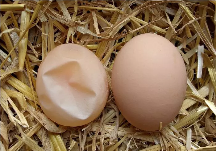 7cxq9ysdis0alidh4crtmyiksxqlaucsmzlh9hh3