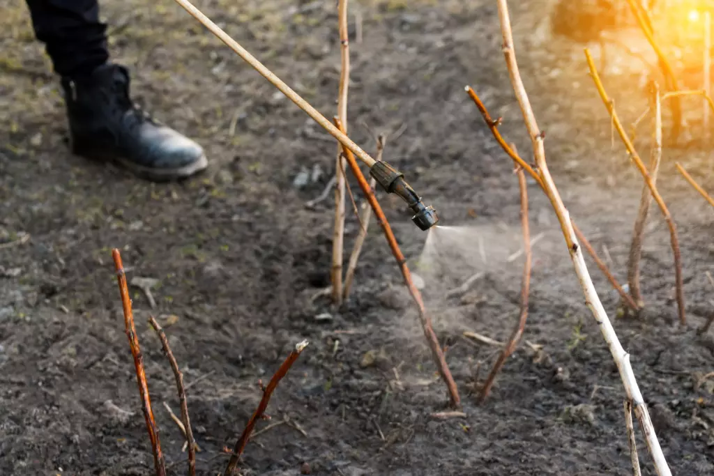 8db5s9eewceho75zeqsj5fym3fcf7mkq