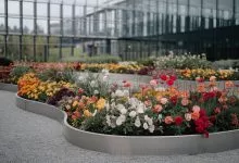 A Photo Of A Modern Flower Bed With A Va Bg4pbsmnqfujg5segpl5pw P4wrjyvyqgapqrggw86oaq