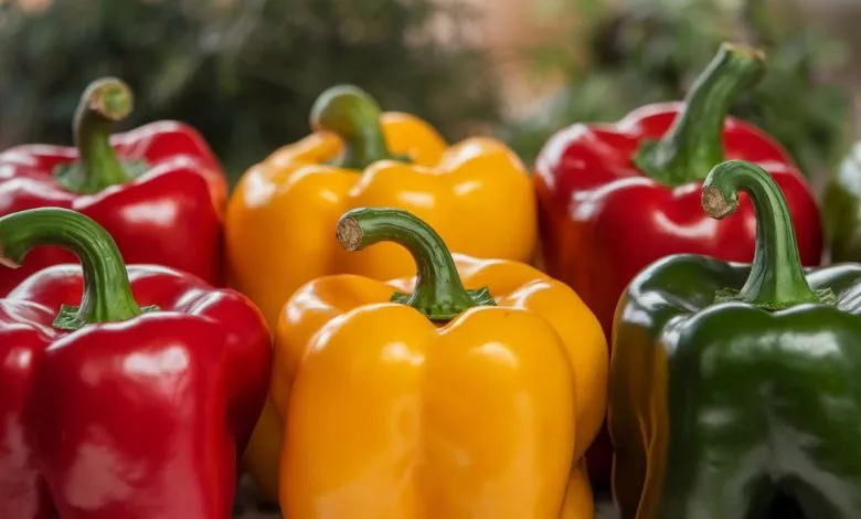 A Photo Of Thick Walled Varieties Of Swe Wk Rzdwrsf6j7kl2pdy5zg 72jrcigrr0q1gov82s4frq