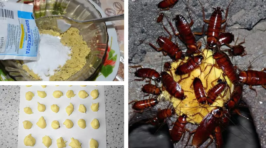 Bornaya Kislota Ot Tarakanov