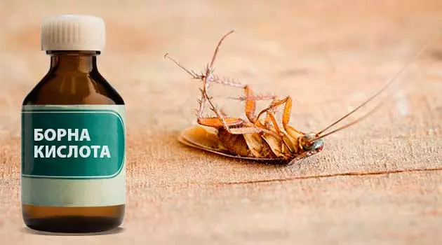 Borotba Z Tarakanamu