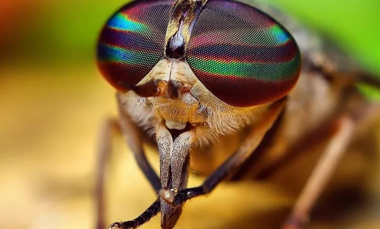 Image Processing20201212 1514 Pe0qkw