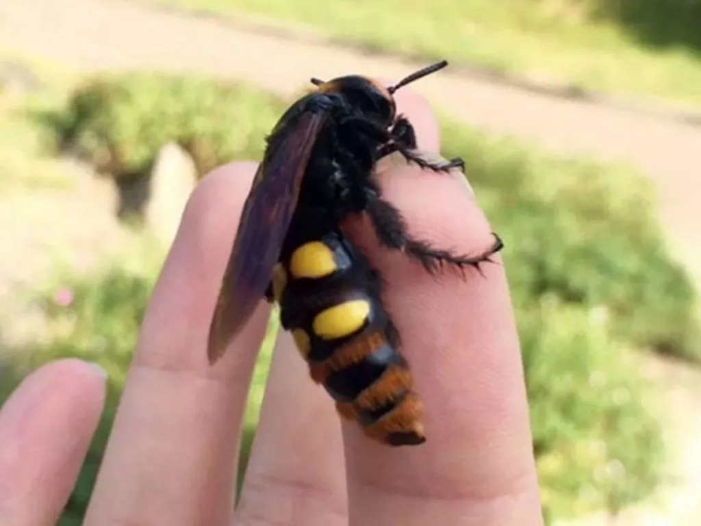 M0ss Hoi5431xczszoscwbeop6gupc Lorr0ervbowuv11m5a38 Whzorkvpkref3clqi8sqvcye1eb9enshltru