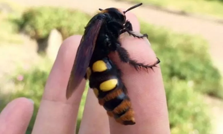 M0ss Hoi5431xczszoscwbeop6gupc Lorr0ervbowuv11m5a38 Whzorkvpkref3clqi8sqvcye1eb9enshltru