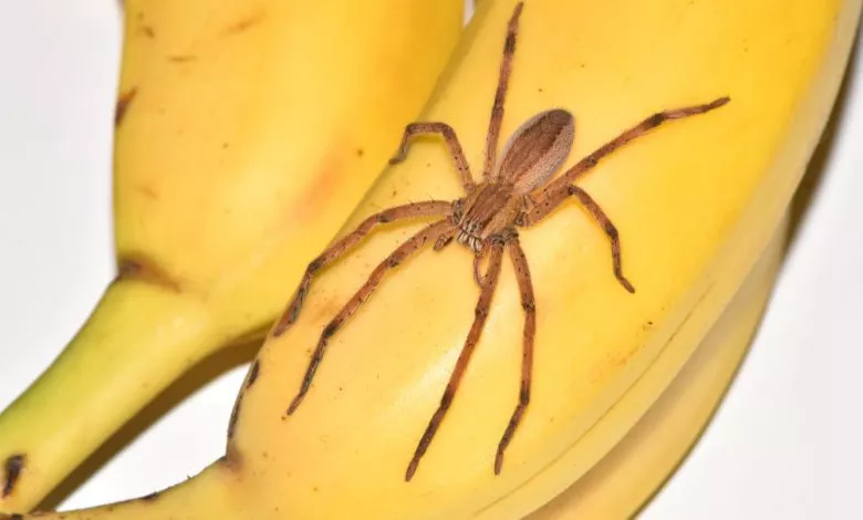 Shutterstock 1575619993