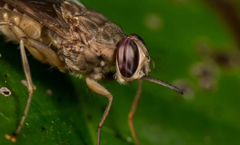 Shutterstock 1157378263