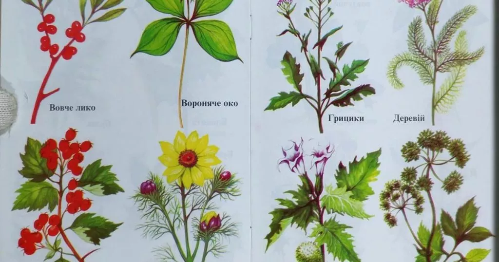 01009l8f 650c 1200x630 1