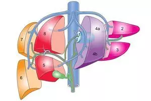 752b7f5d4e5f232e1d628b2608616f8e