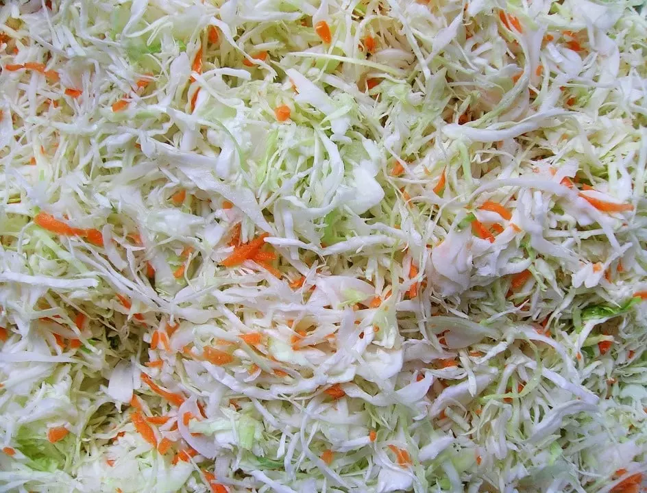 Sauerkraut 574170 960 720