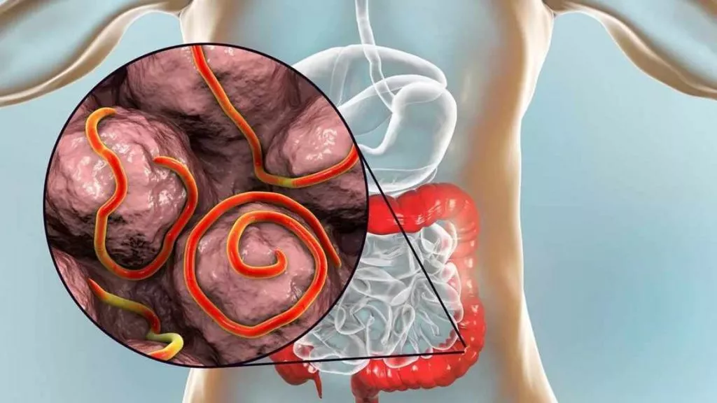 11 09 07 27 16 Large