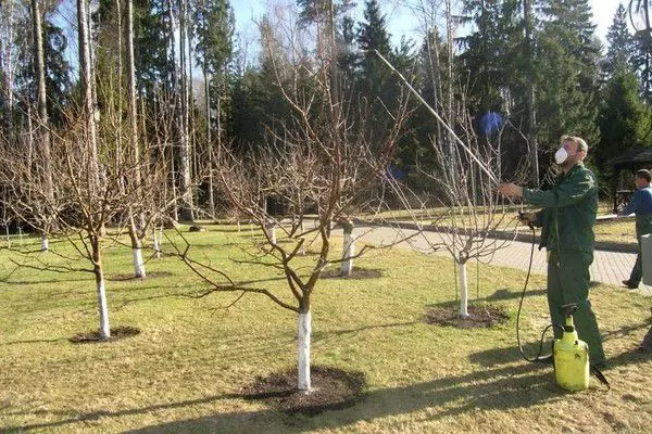 378292 1