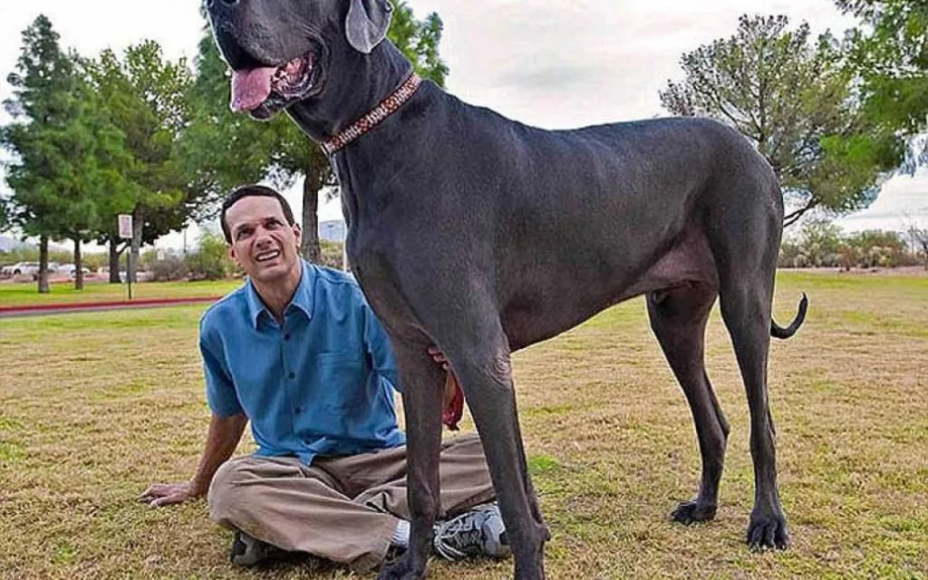 8e35263647cf1bb5a0138e0e361fb6b5