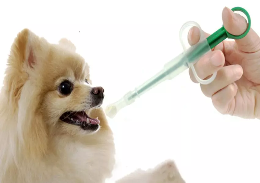 Kakoj Analgetik Mozhno Davat Sobake