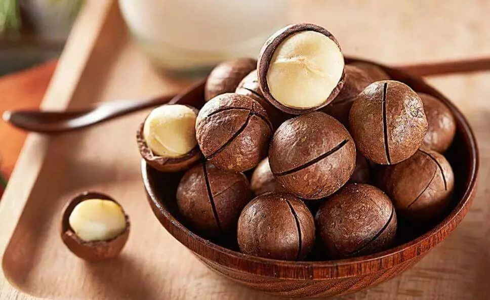 Makadamiya Zamovity Blog