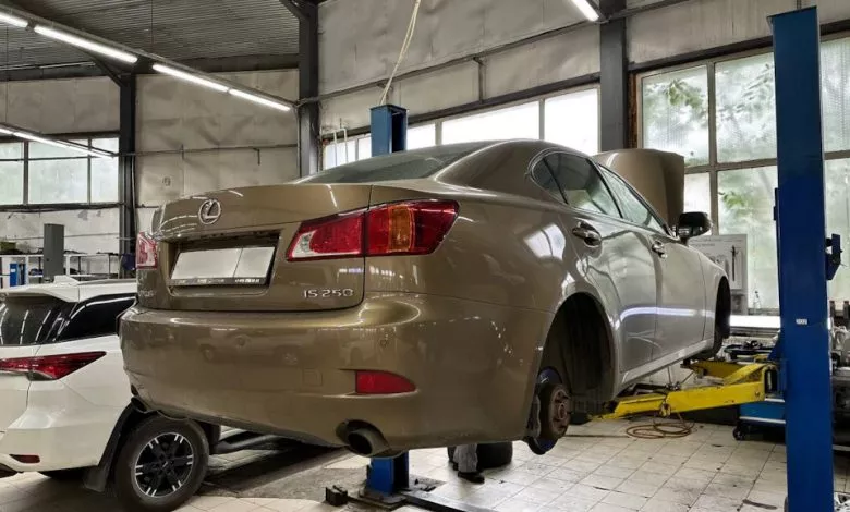 El1gxkgqac5fbz5m4fgveigswzc 960