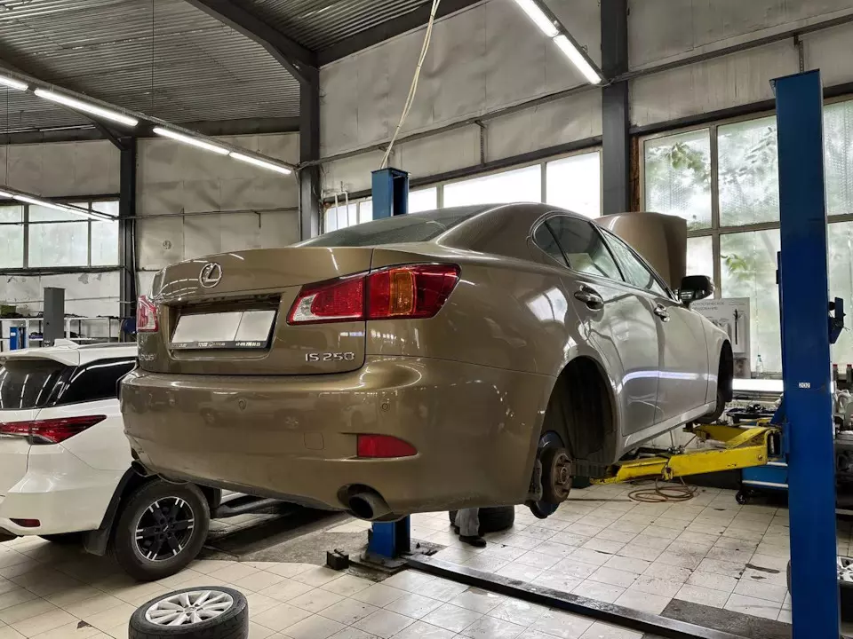 El1gxkgqac5fbz5m4fgveigswzc 960