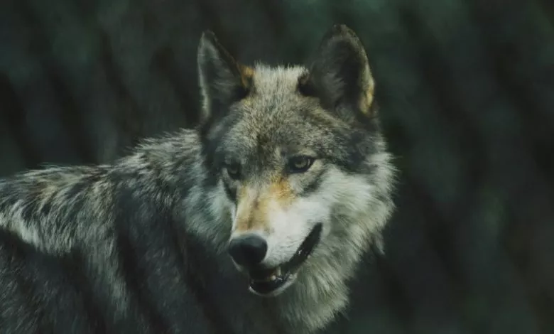 Michael Larosa Kr1aer8c Wi Unsplash 1