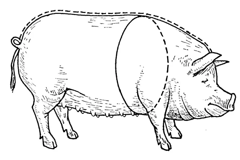 Uk Tablica Vagi Svinej Ak Vimirati Masu Bez Vag Akij Vihid Z Tusi 3