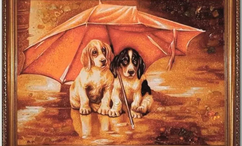 1f0486e5aedd7c2a5ea33193773fbec7