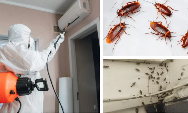 Unichtogenie Tarakanov V Odesse