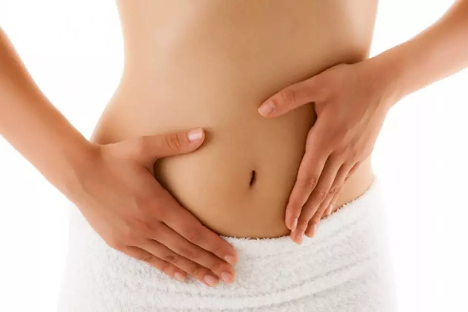 Zmishchennja Nutroshchiv Web