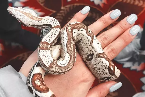 T S S3mmyokbv8 Unsplash