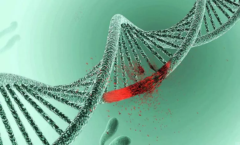 02010zgh B492 1200x630 1