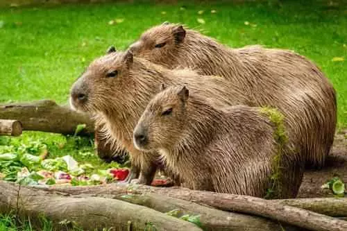 D0bad0b0d0bfd0b8d0b1d0b0d180d0b0