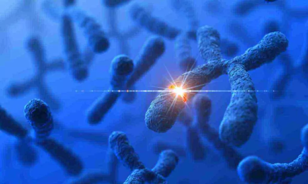 Genetic Modification 155145178 5 Large